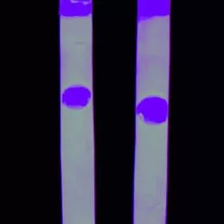 Behr EUROlite Knicklicht 5x 2er Packung -Angelzubehör Verkäufe Behr EUROlite Knicklicht pinkbQOHlNhWiPI30 1280x1280